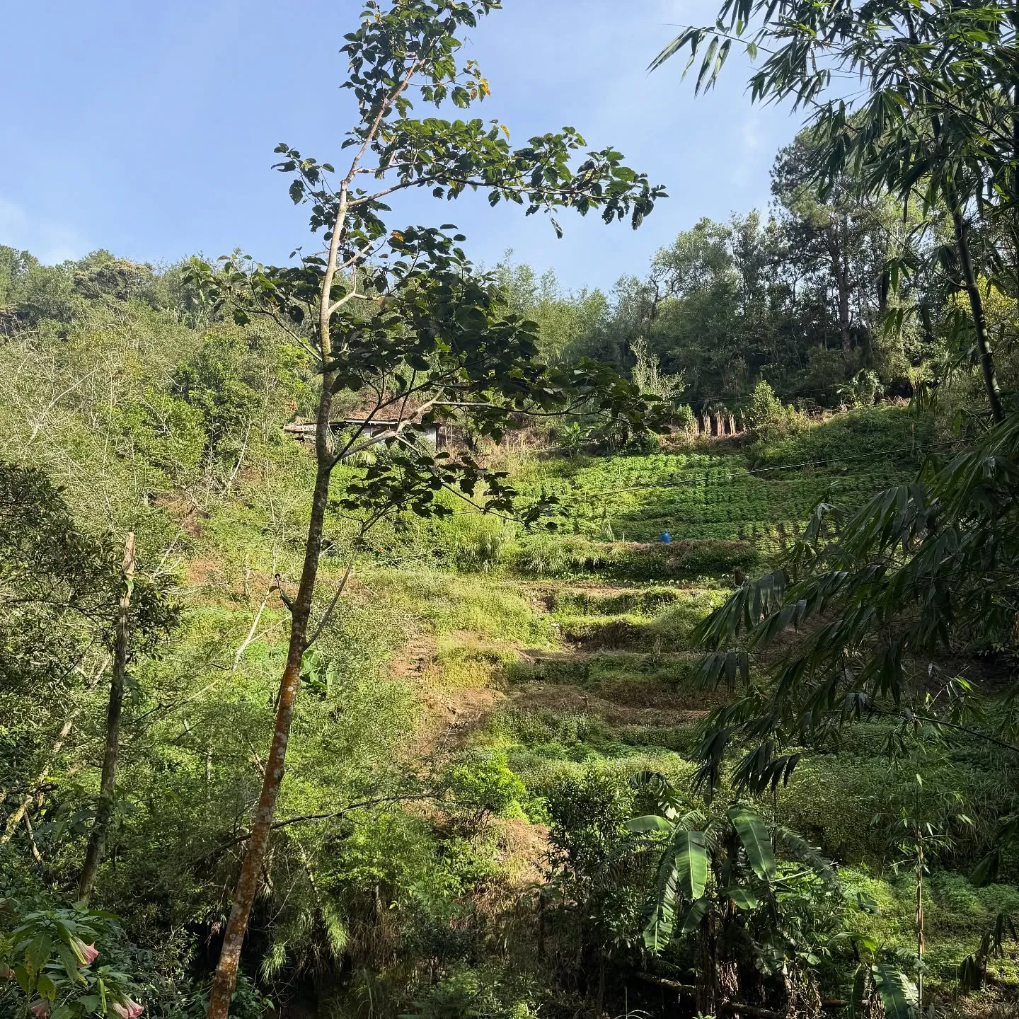 The Cooking Dad Coffee Roastery and Cafe Menu 5